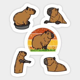 Capybara Sticker